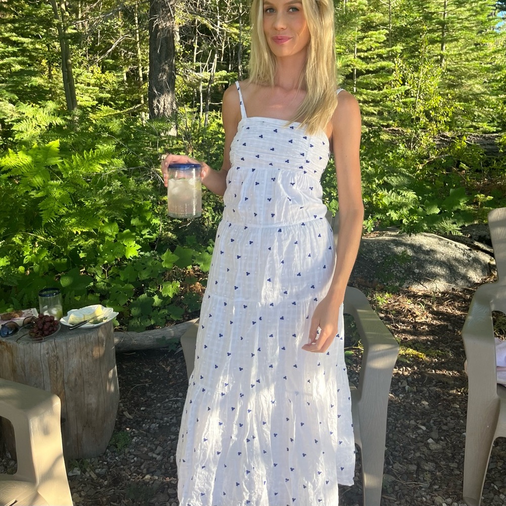 Zara dress